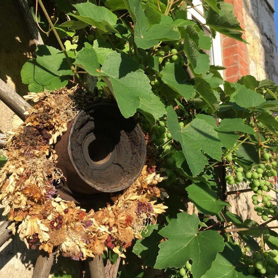 Altes Stadtgut Otel Weimar  Dış mekan fotoğraf